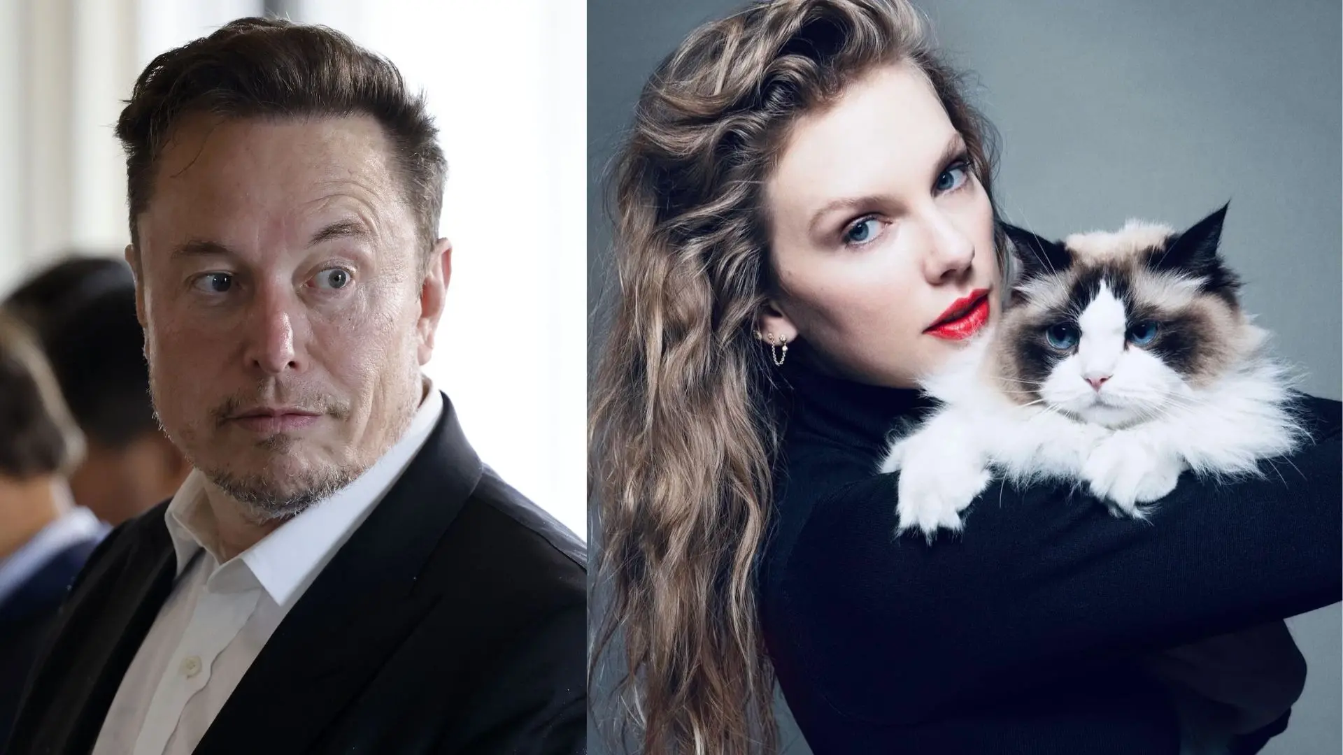 Elon Musk, Taylor Swift | Photo: X