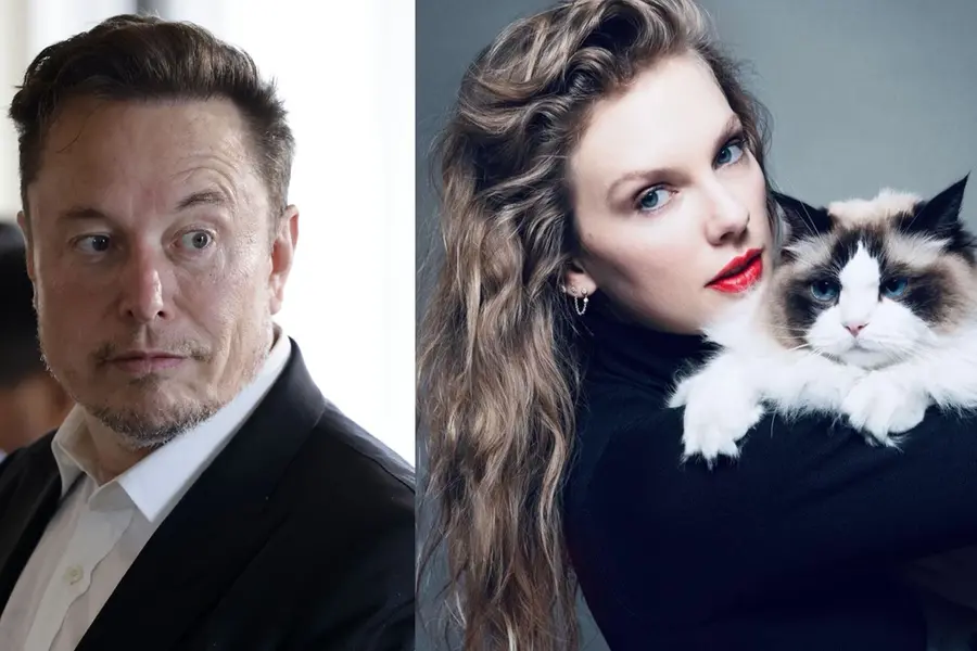 Elon Musk targets Taylor Swift on 'childless cat lady' remark