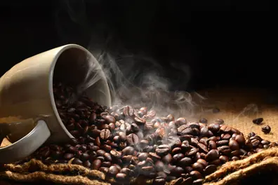 Rs 680 per kg: Coffee price rise hits consumers as bean costs soar