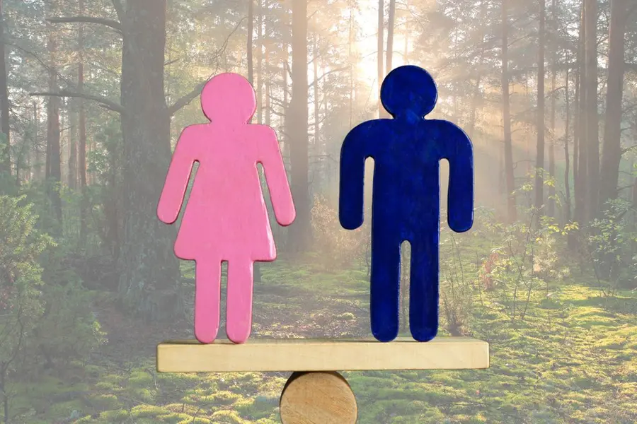 Why is restoring the balance of feminine and masculine energy crucial for survival of humanity?