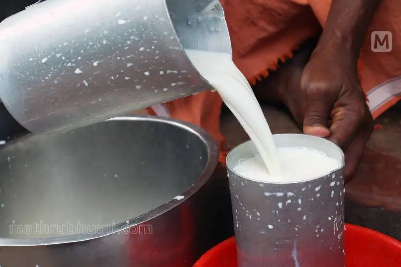 Milk price to go up by Rs 5 in Kerala