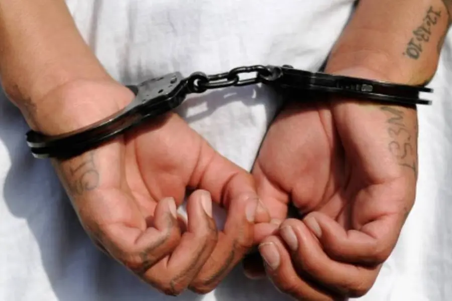 Two held for 'forging' voter ID cards ahead of Delhi polls