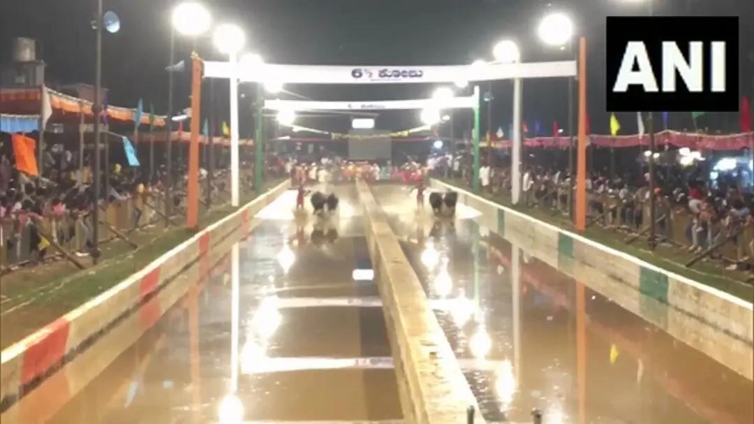 Visual from ANI video
