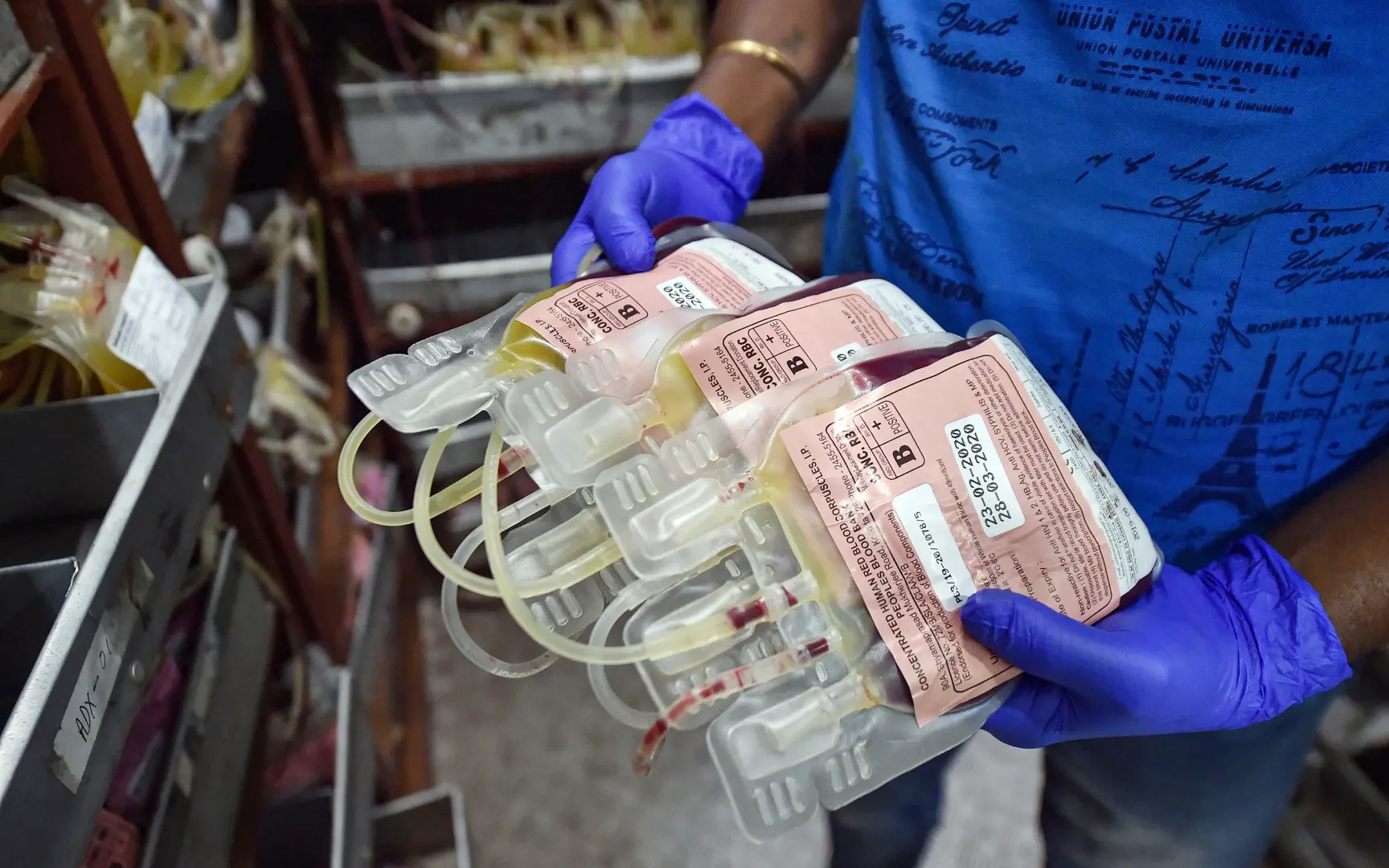 Blood bags containing donated blood | Photo: PTI