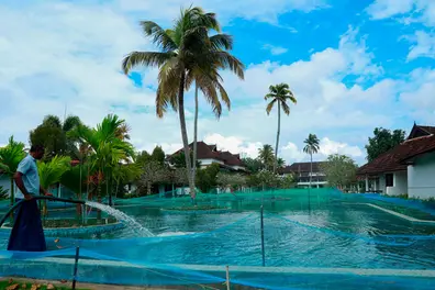 Street Tourism in Kerala: Registrations on