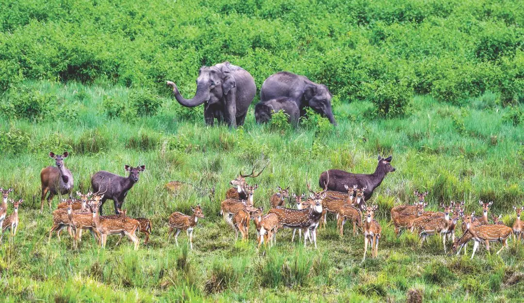 Representational Image | Mathrubhumi