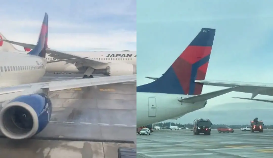 Seattle airport plane crash | Photo: X