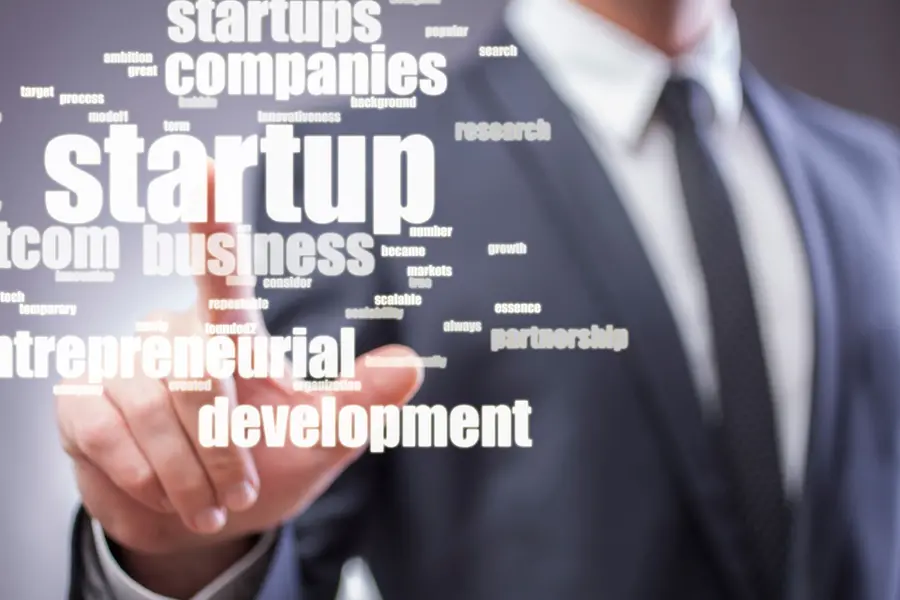 After rough ride in 2024, Indian startups look for a promising new year