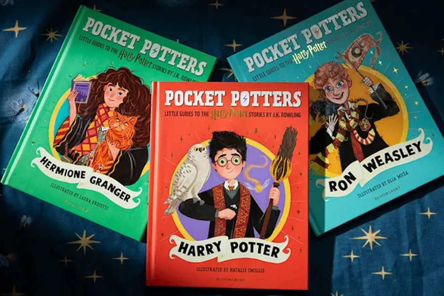 Is Harry Potter too complex for your little ones? Try the 'Pocket Potters' series