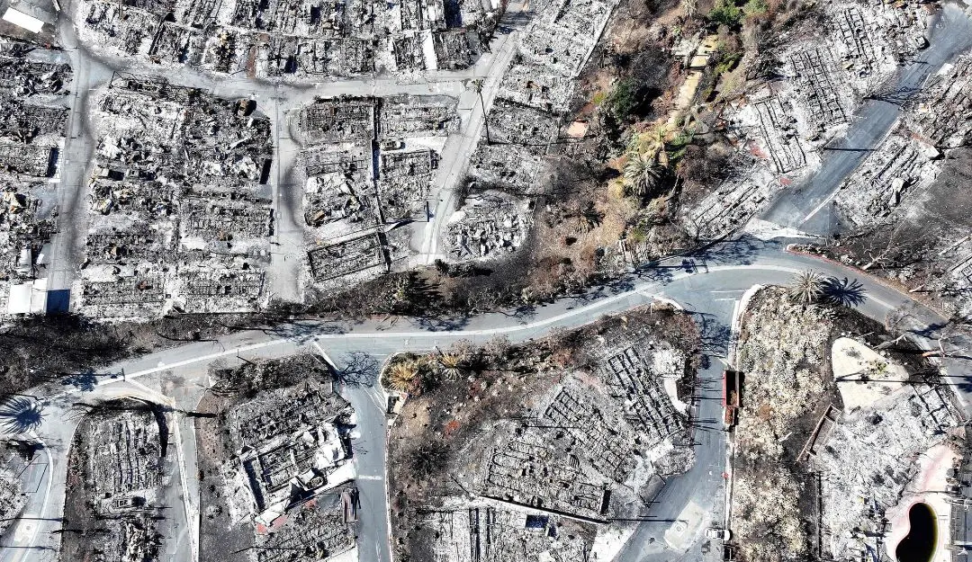 An aerial view shows homes destroyed in the Palisades Fire in Pacific Palisades, California | Photo: AFP