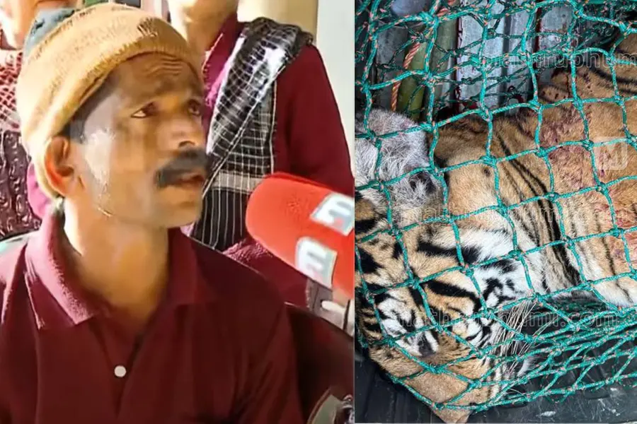 Victim's family happy over tiger's death in Wayanad, thanks media for support