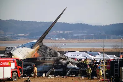 Jeju Air crash: Bird strike warning issued 1 minute before black box stopped