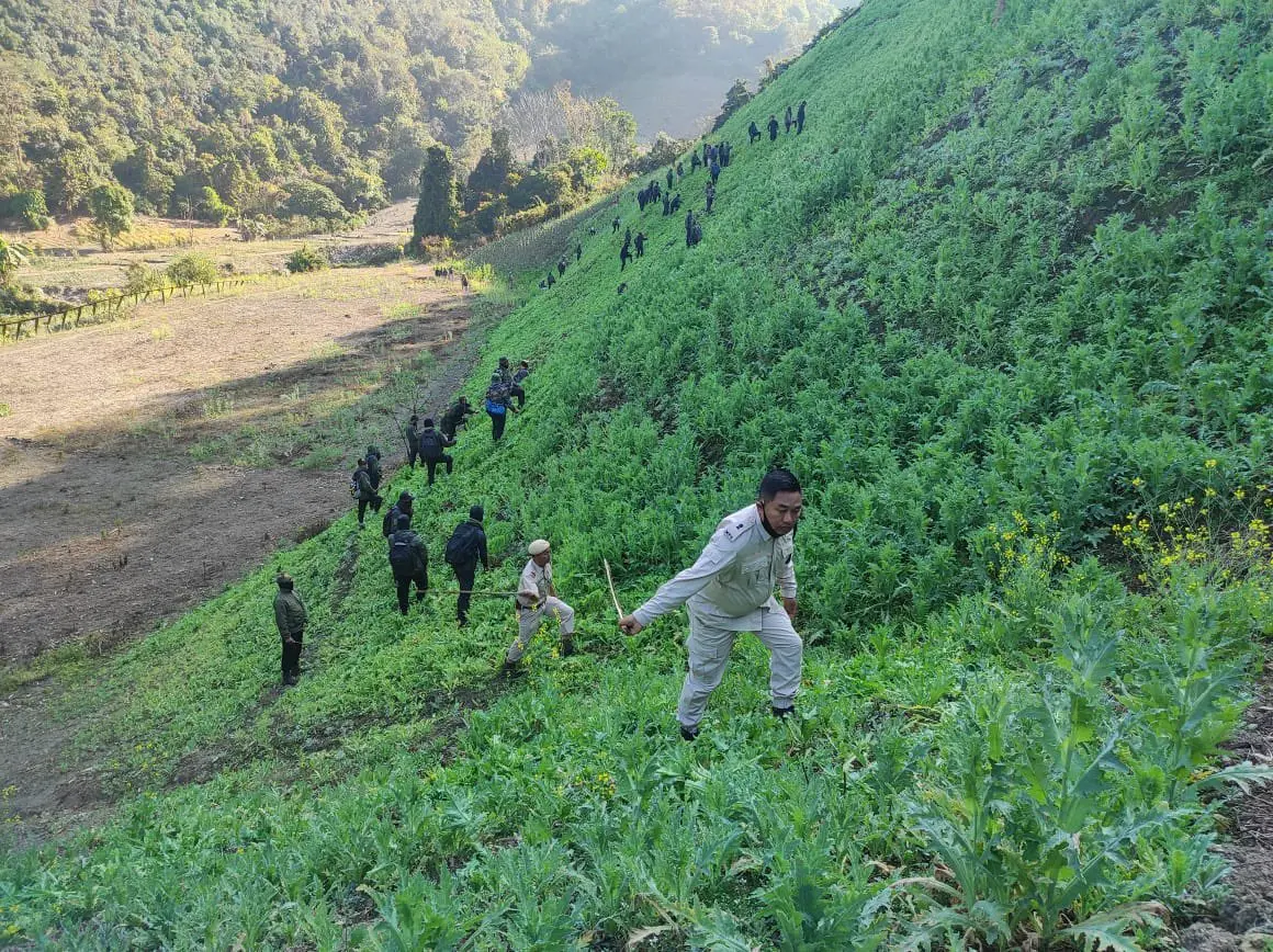 Security forces destroying 35 acres of illegal poppy cultivation in Manipur | Photo: X / N. Biren Singh