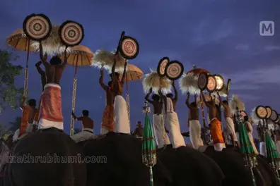 ‘Attempts to disrupt festivals’; Thiruvambady and Paramekkavu Devaswoms move Supreme Court