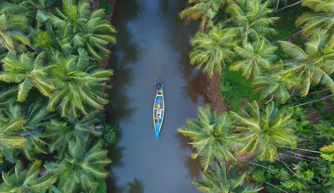 Representational Image | Photo: Canva
