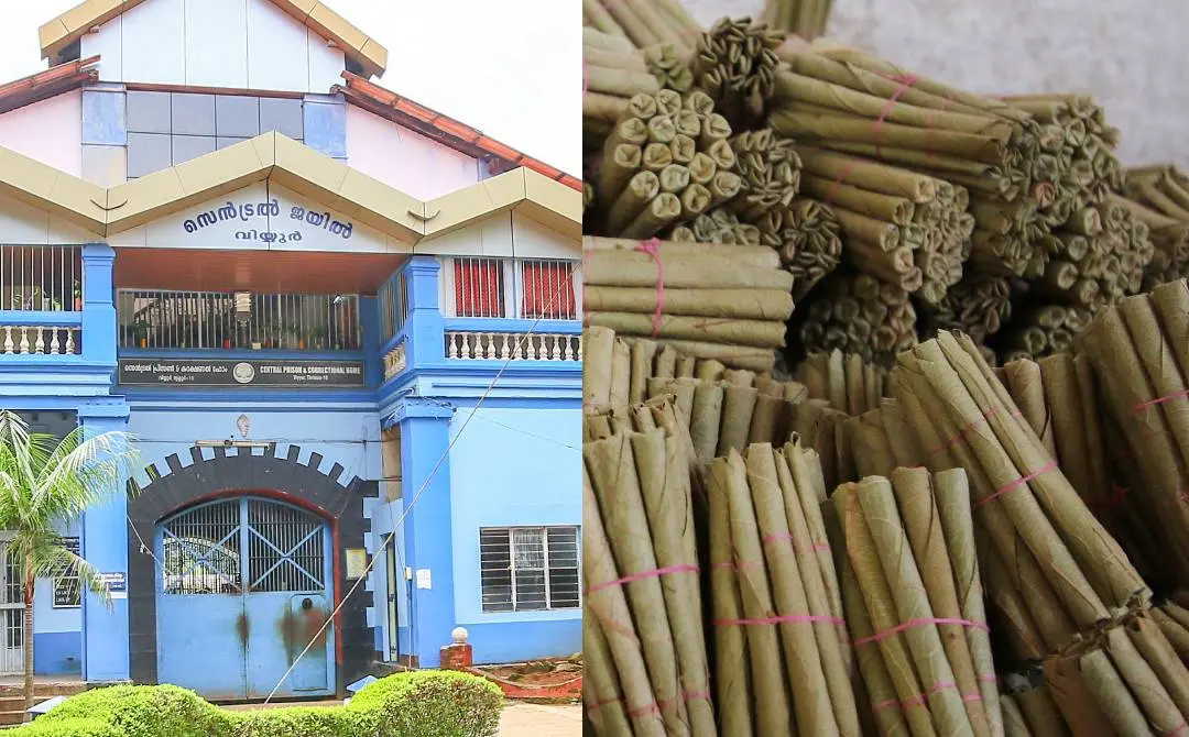 Representational Image | Mathrubhumi