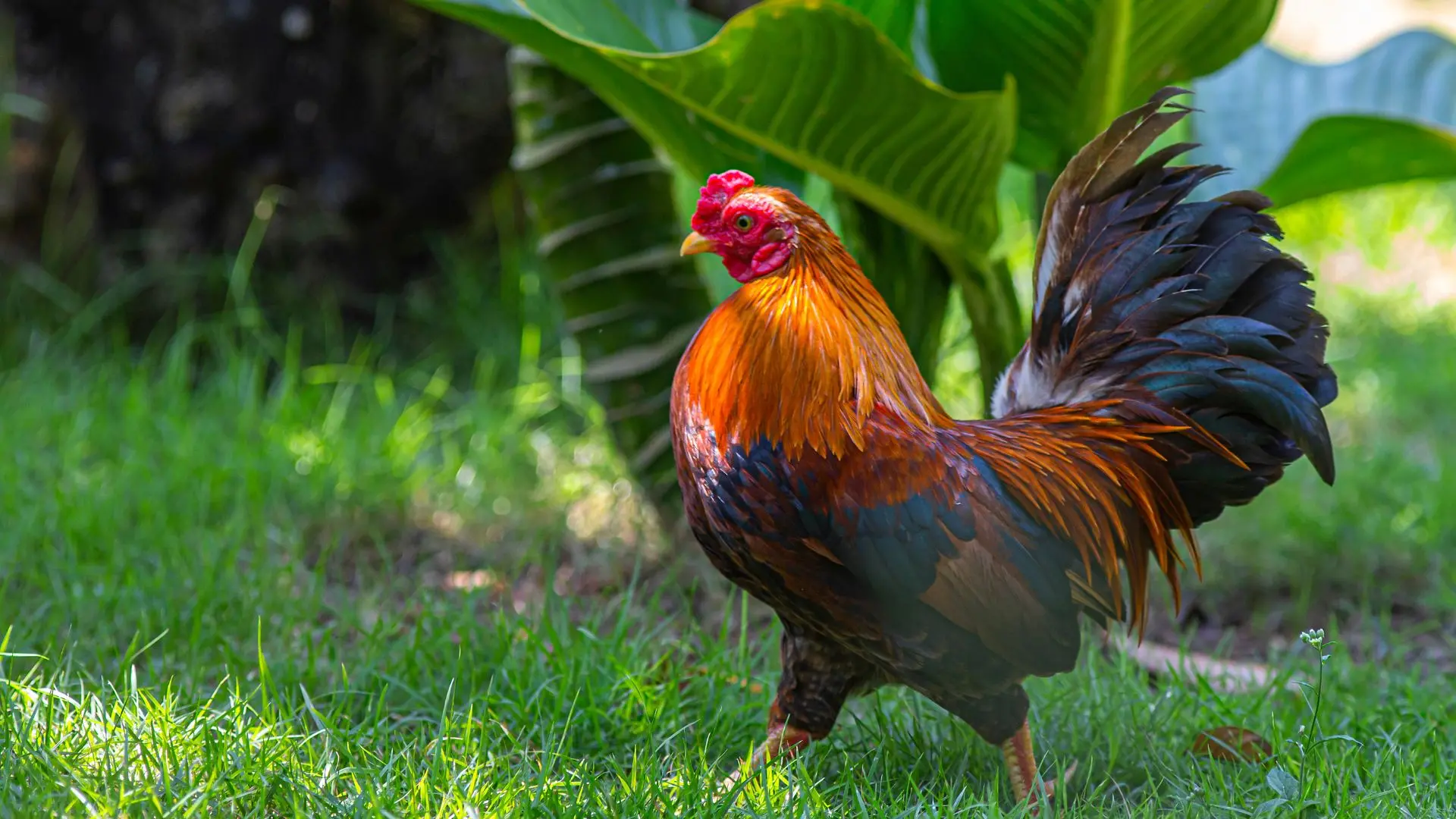 Representational Image | Photo: Canva