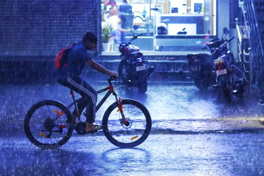 കനത്ത മഴ: ഇടുക്കി, വയനാട്, തൃശ്ശൂർ ജില്ലകളിലെ വിദ്യാഭ്യാസ സ്ഥാപനങ്ങൾക്ക് വ്യാഴാഴ്ച അവധി