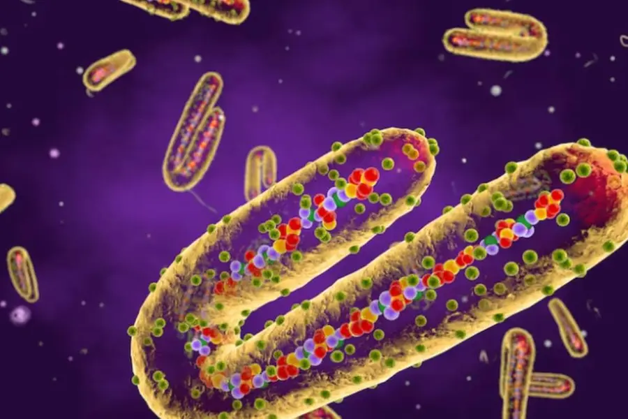 Marburg virus outbreaks: UAE issues travel advisory, advises citizen to take precautions