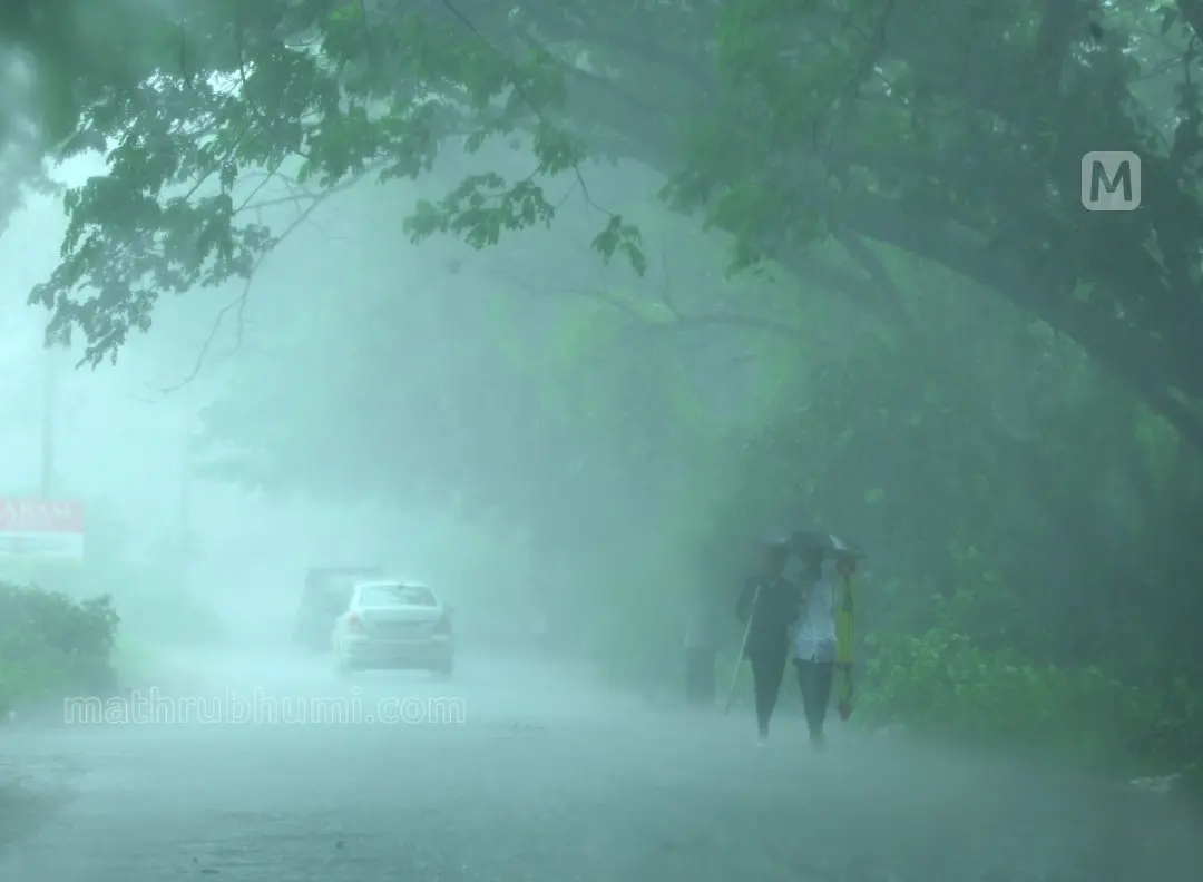 Representative Image | Photo: Mathrubhumi