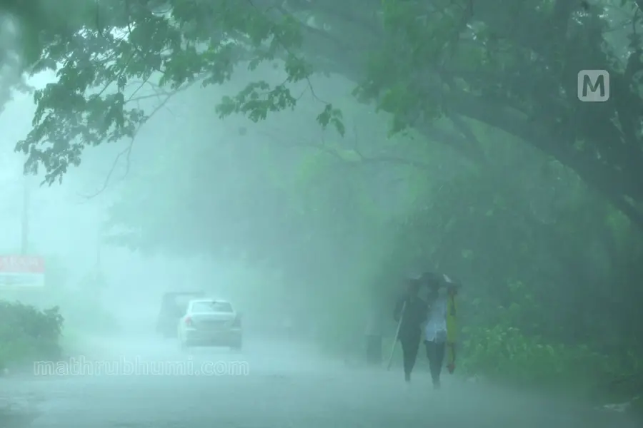 North Kerala braces for heavy downpour, likely to get 204.4 mm rain