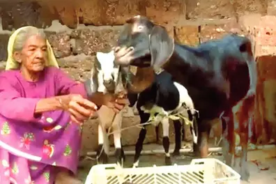 Aadumma, known for her love for goats, passes away
