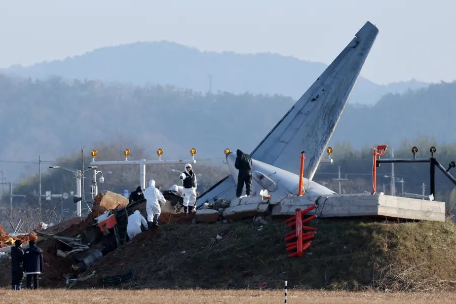 South Korea plane crash: Police raid Muan Airport, Jeju Air office