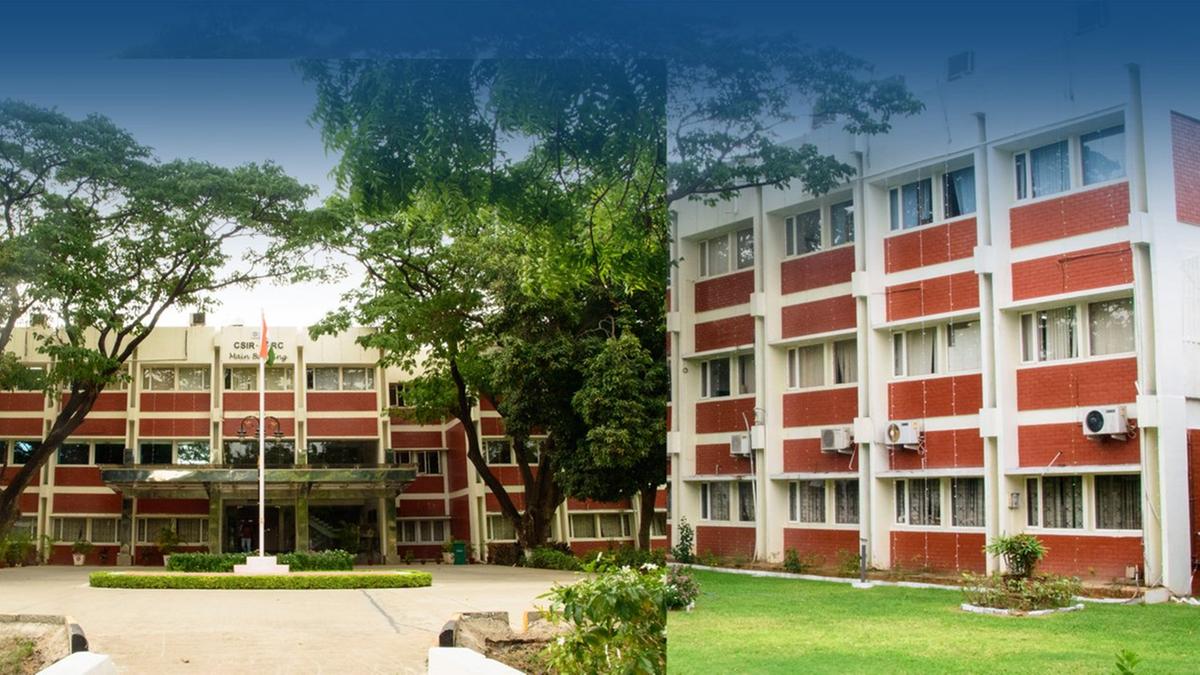 CSIR-CLRI announces openings for Project Assistant, JRF, and Research ...