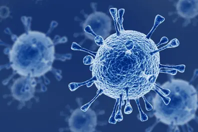 India immune to HMPV says experts , but is this the same variant linked to China’s outbreak?