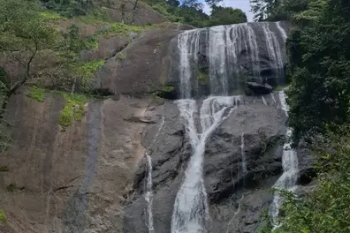 Tourism revival: Thusharagiri's Mazhavilchattam, Thumbithullumpara waterfalls reopened for visitors