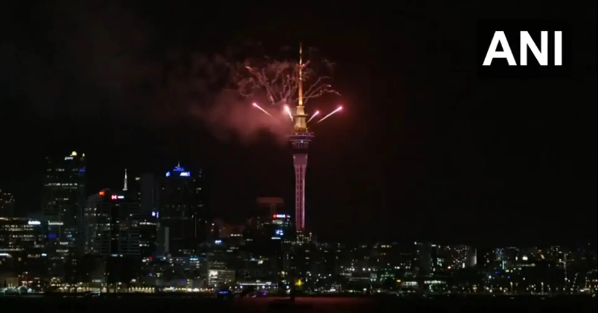 New Zealand welcomes the New Year 2025 with fireworks | Photo: Screengrab of X / ANI