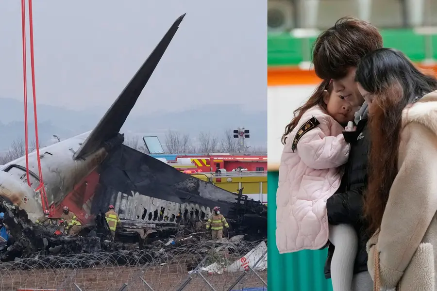 South Korea crash raises alarm: Know how Karipur Airport tackles bird strikes and wildlife threats