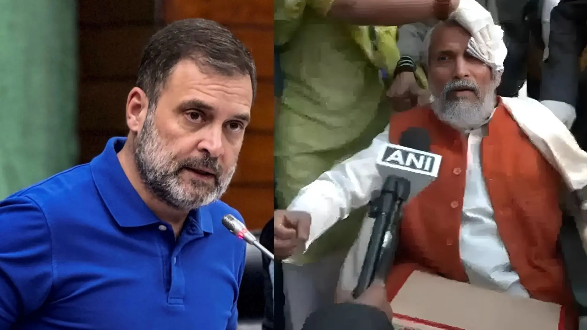 Rahul Gandhi and Pratap Chandra Sarangi
