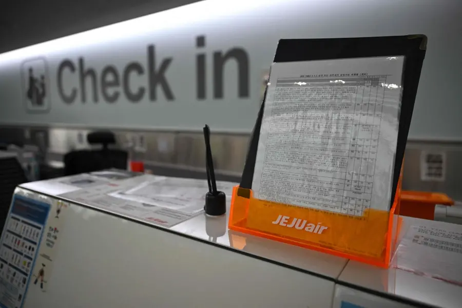 Second flight of South Korea's Jeju Air hits landing gear problem