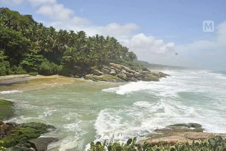 Two go missing in Azhimala sea; one body recovered, search on for other