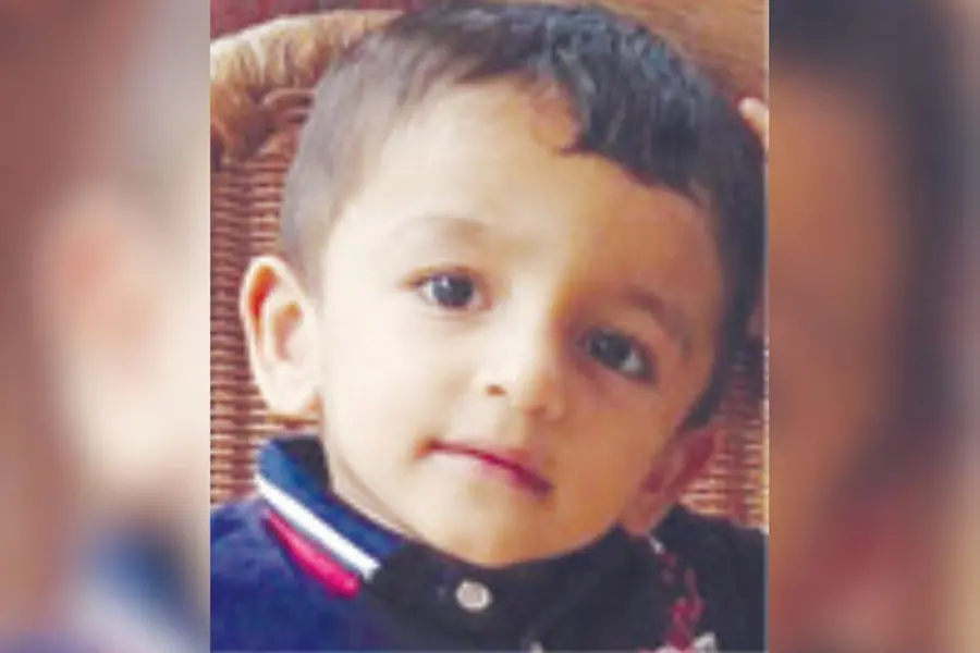 3-year-old Kasaragod boy drowns in terrace pool | Mathrubhumi English