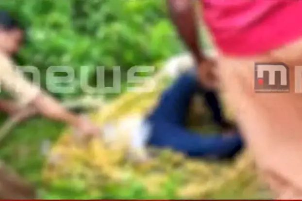 TVM: Three drown at deadly Vattakkayam of Kallar