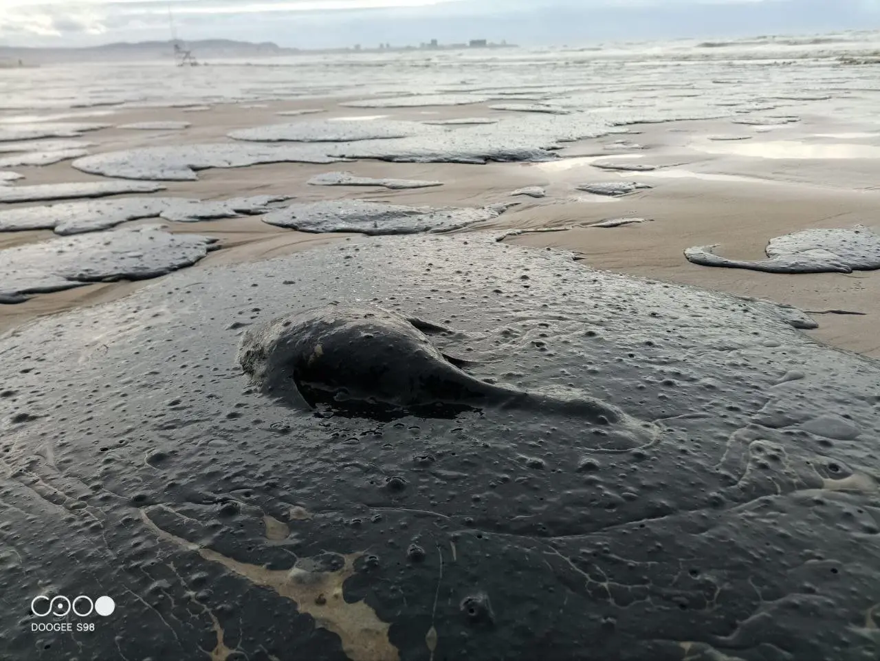 A photo captured in Russia following the oil spill in the Black Sea | Photo: Kirill Bakanov