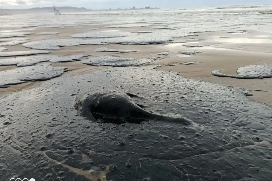 Russia says Black Sea oil spill 'critical' as Crimea declares emergency