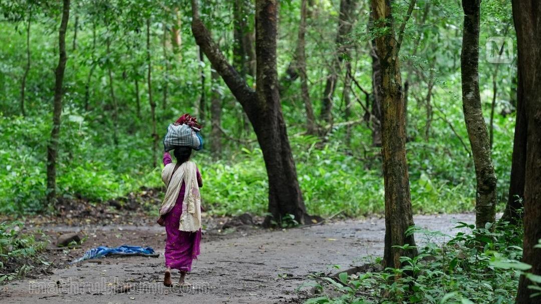 NHRC takes suo motu cognizance of reported increase in suicides among ...