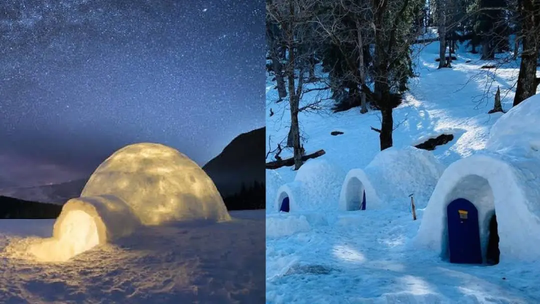 Igloo in Manali | Photo: twitter.com/Pickyourtrail/status/