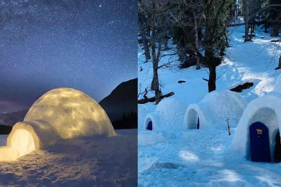 Live in an igloo, not in the Arctic, but in Manali