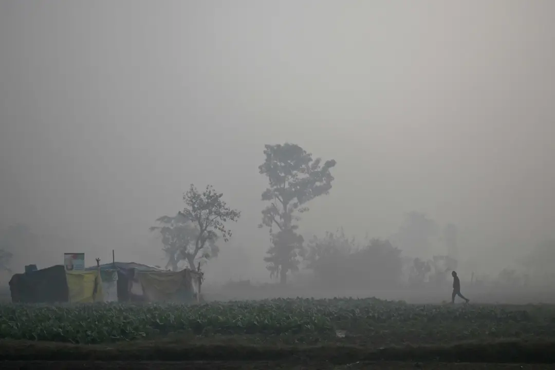 A child walks through a field on a smoggy winter morning at the Yamuna flood plains in New Delhi on December 19 | Photo: AFP