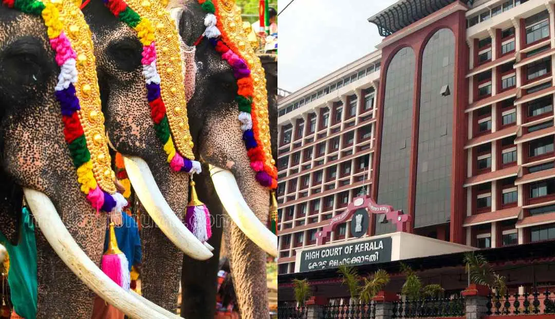 Representational image; Kerala High Court  | Photo: Mathrubhumi, PTI