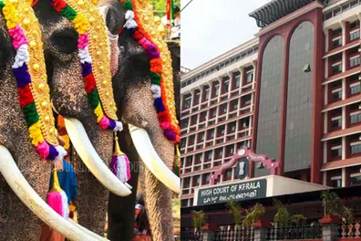 Parading elephants shows human arrogance; fortunate that whales don’t live on land: Kerala HC