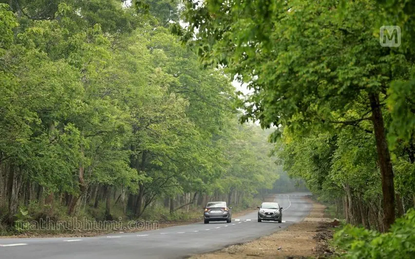 Bandipur road | Photo: P Jayesh