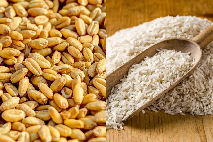 US senators object to wheat, rice subsidies in India; USTR says market access to India has improved