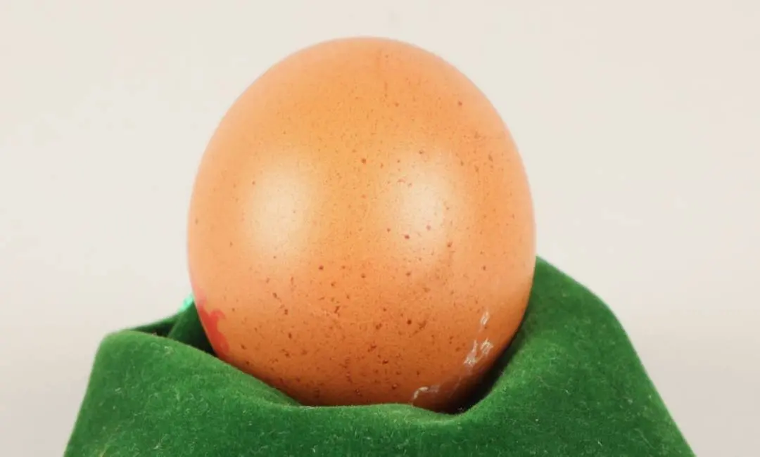 The rare fully spherical egg kept for auction