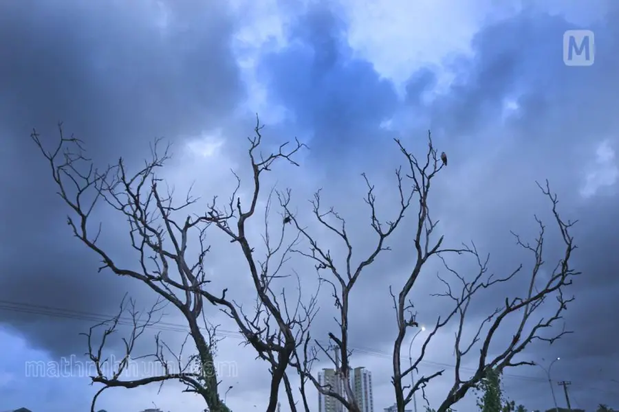 മഴയില് വീട് തകർന്നുവീണു: ഒരാള്ക്ക് പരിക്ക്