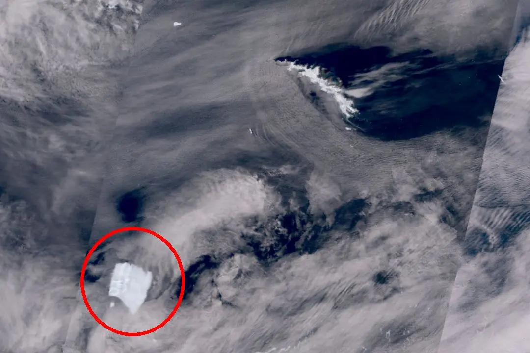 Satellite footage shows A23a iceberg heading towards South Georgia